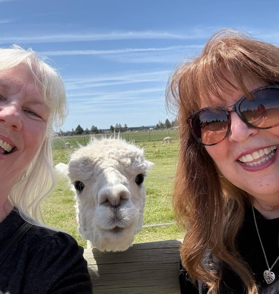 Best friends for life, now matriarchs, Gloria and Sandy in front of an alpaca—image taken and copyrighted by Sue Evergreen.