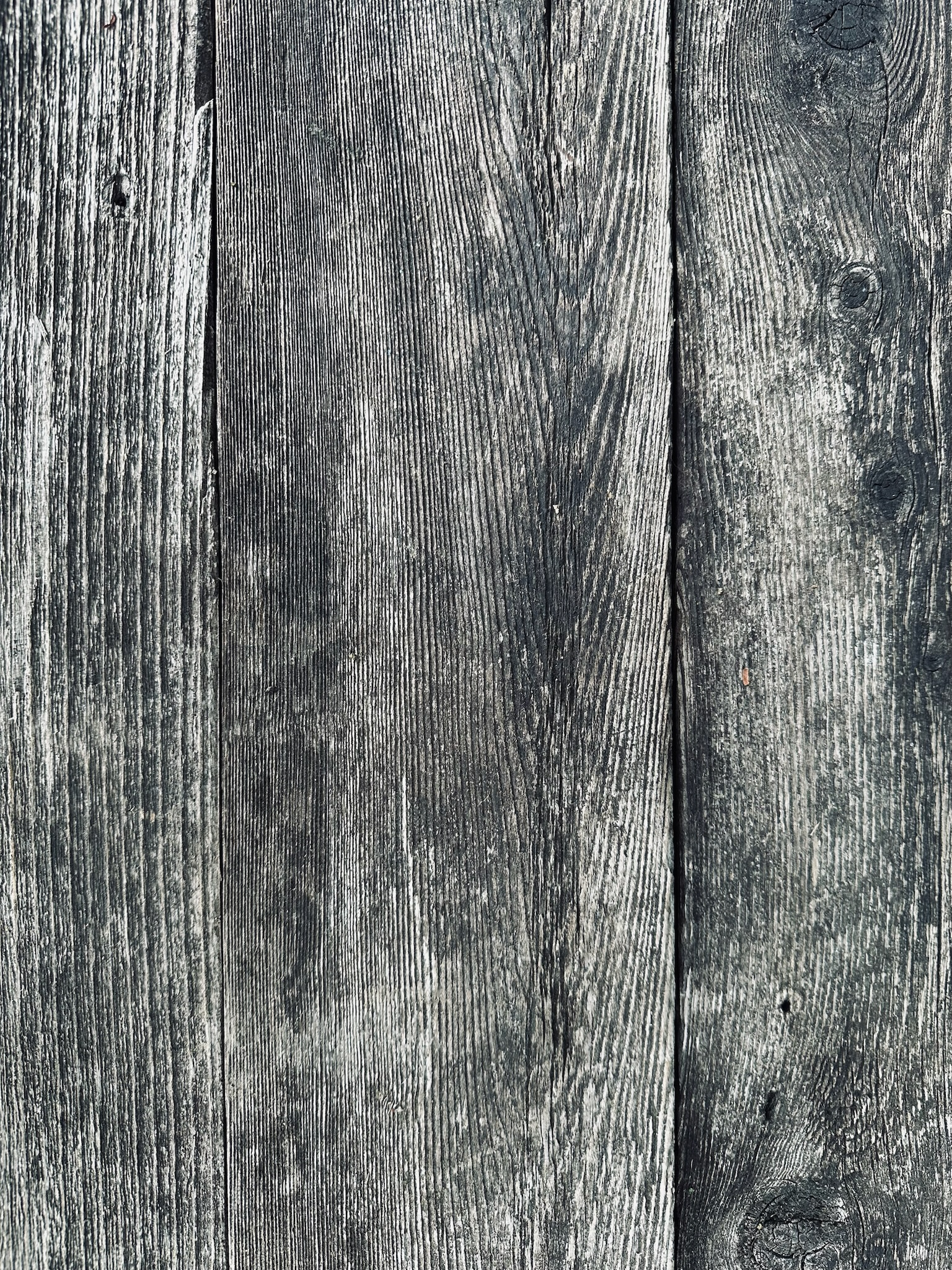 Grey, weathered fenceboards.