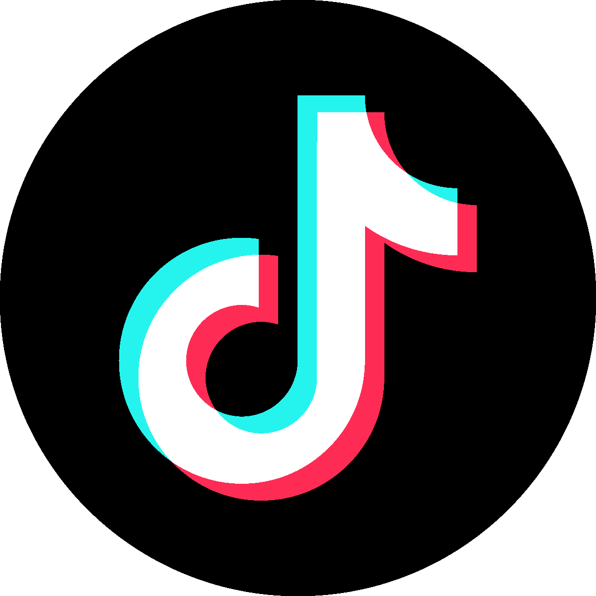 TikTok logo created and distributed for content developers. All rights belong to TikTok.